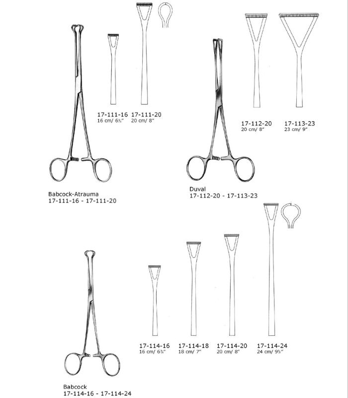 Tissue and organ holding forceps