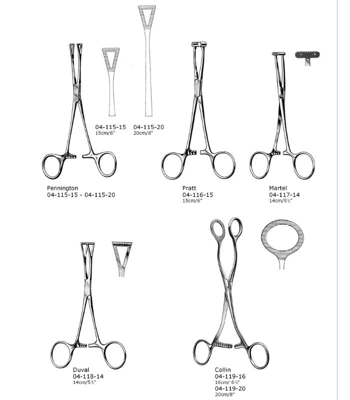Tissue and organ holding forceps